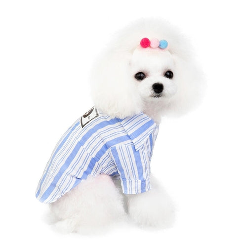 Pet Fashionista Shirt: Stylish And Comfortable Clothing For Your Furry