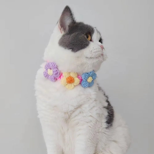 Pet Collar Cat Knitting Collar Small Dog Cat Short Blue and White Cat Flower Bib Pet Bib Photo Accessories Pet Supplies