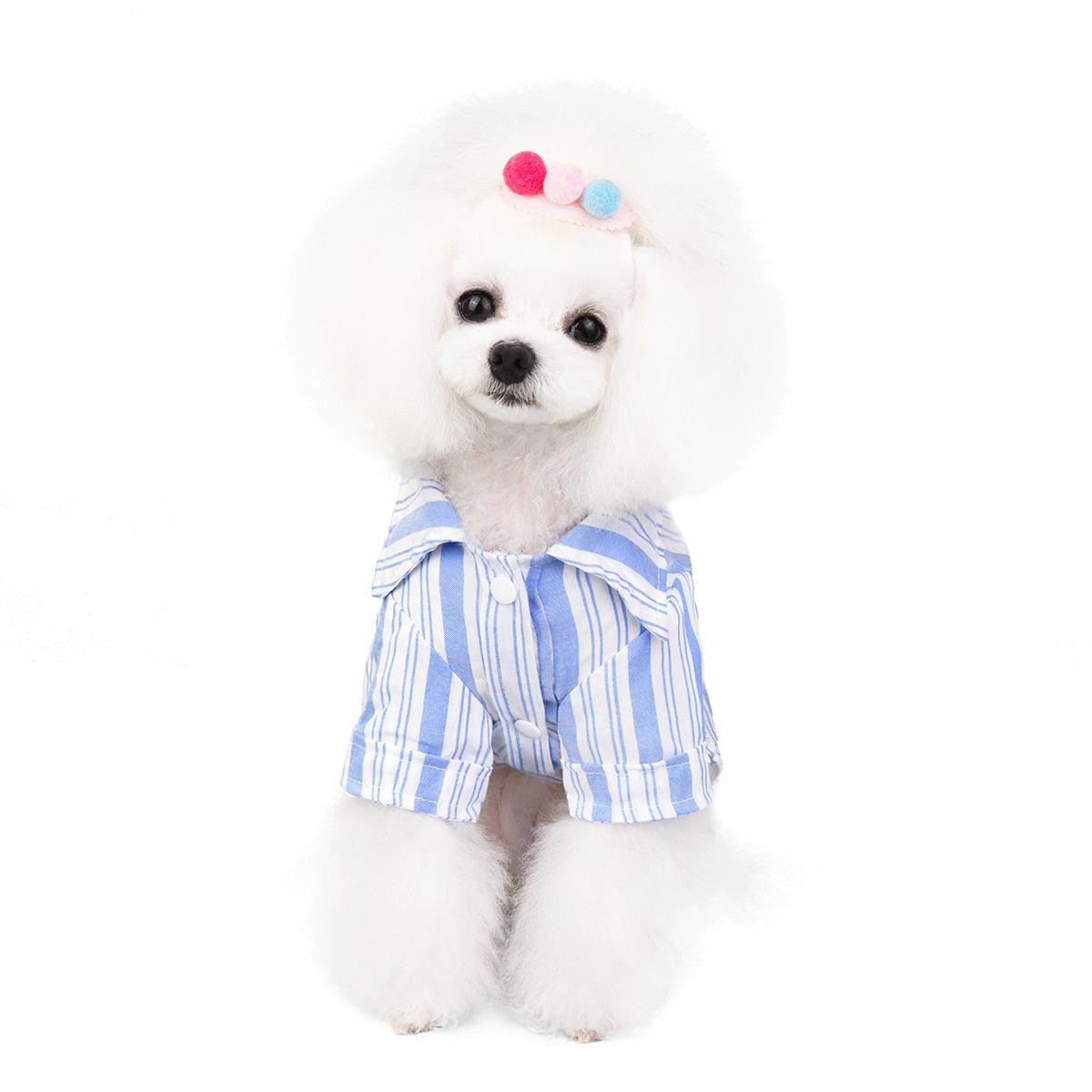 Pet Fashionista Shirt: Stylish And Comfortable Clothing For Your Furry