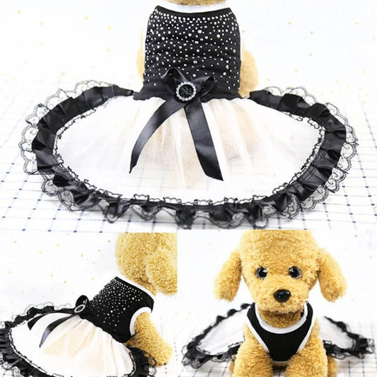 Spring And Summer Pet Fashion: Stylish Dog Clothing For A Trendy