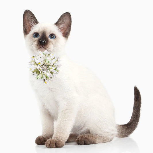 10/20PCS Cute Dog Bowties Collar-flower Adjustable Bow Tie For Small Dogs Pet Supplies Dog Bowknot Pet Grooming Accessories